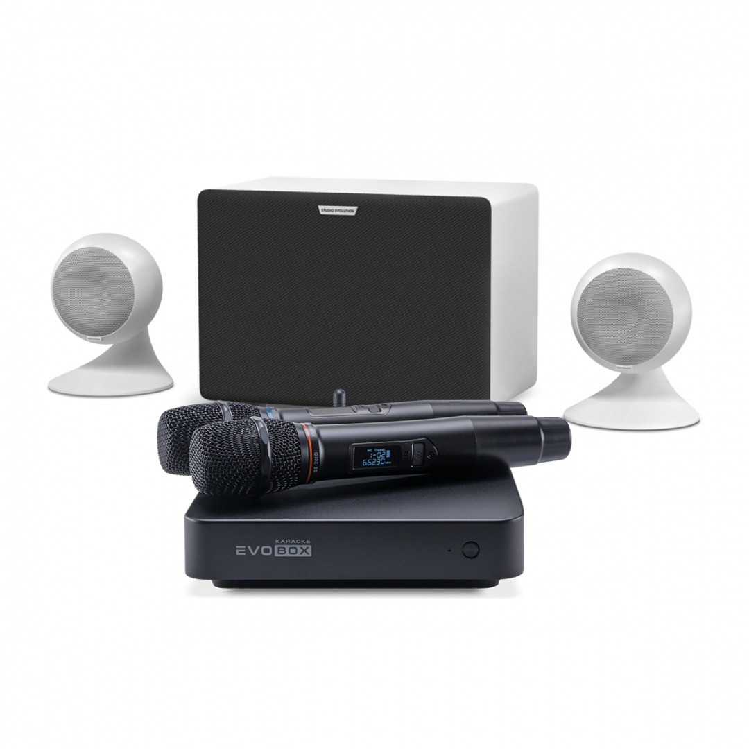 караоке-комплект EVOBOX Classic + EvoSound Sphere 2.1 в Стерлитамаке